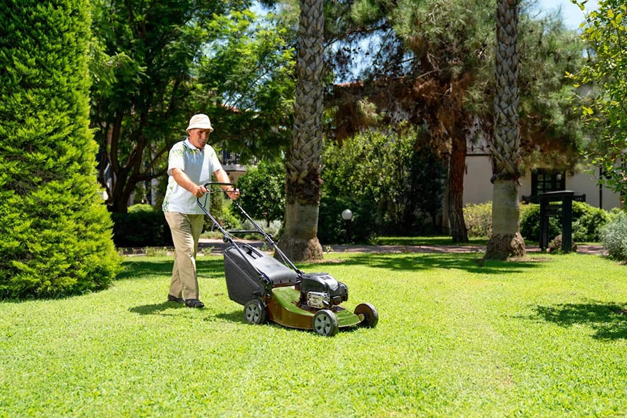 where to buy lawn mower