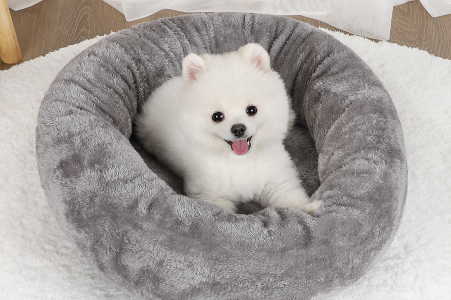 large pet dryer box