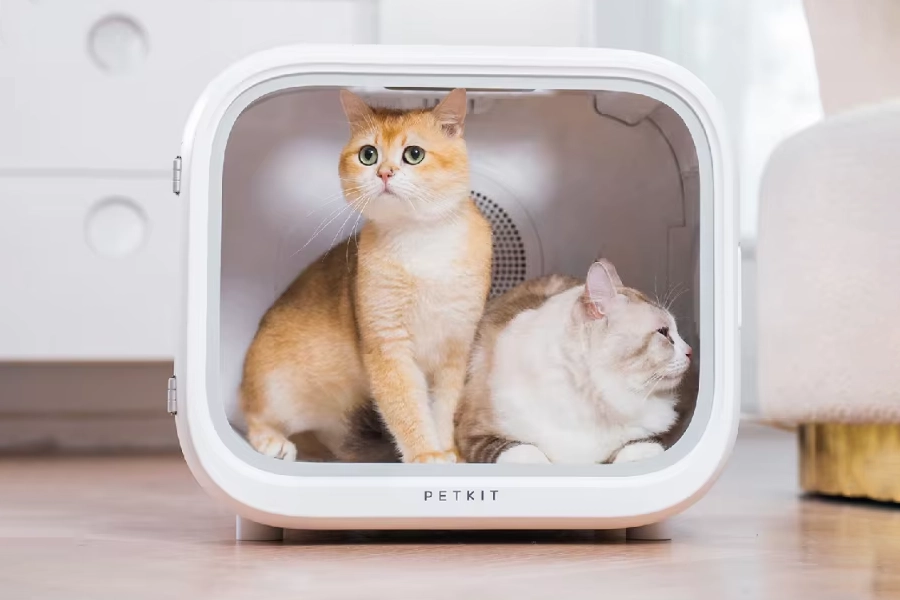 temperature controlled pet drying box